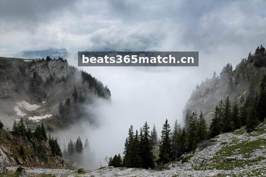 beats365体育 赛事导航服务配图